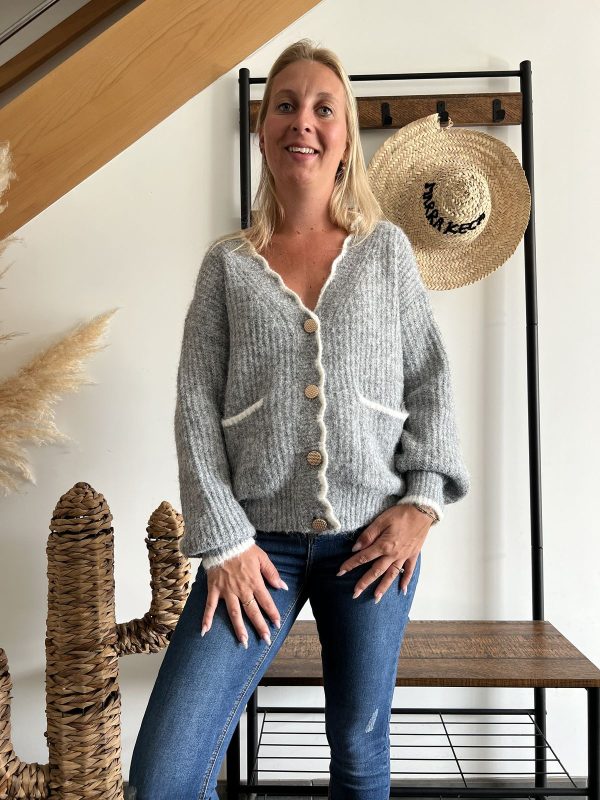 gilet en maille gris