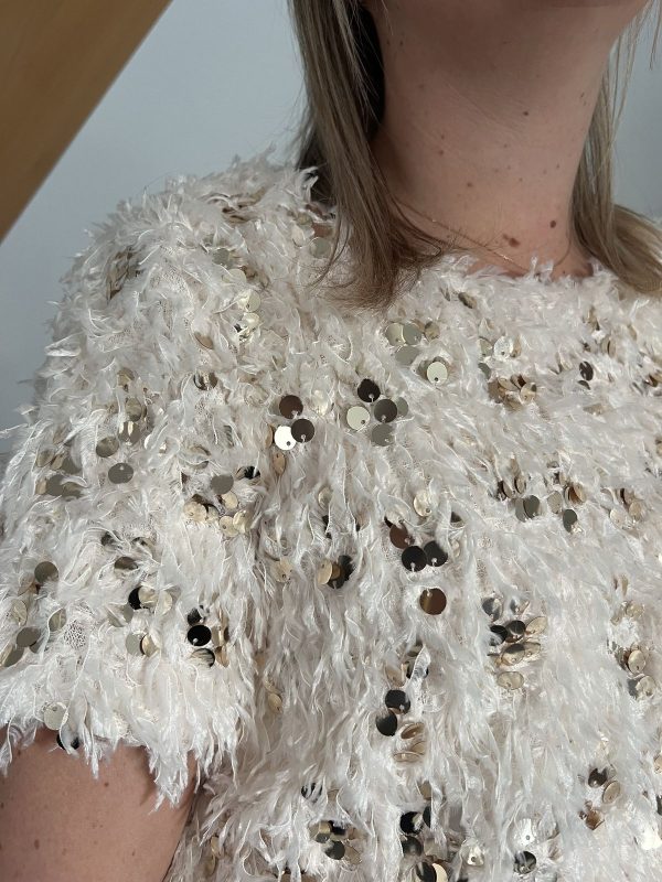 Top froufrou à sequins écru